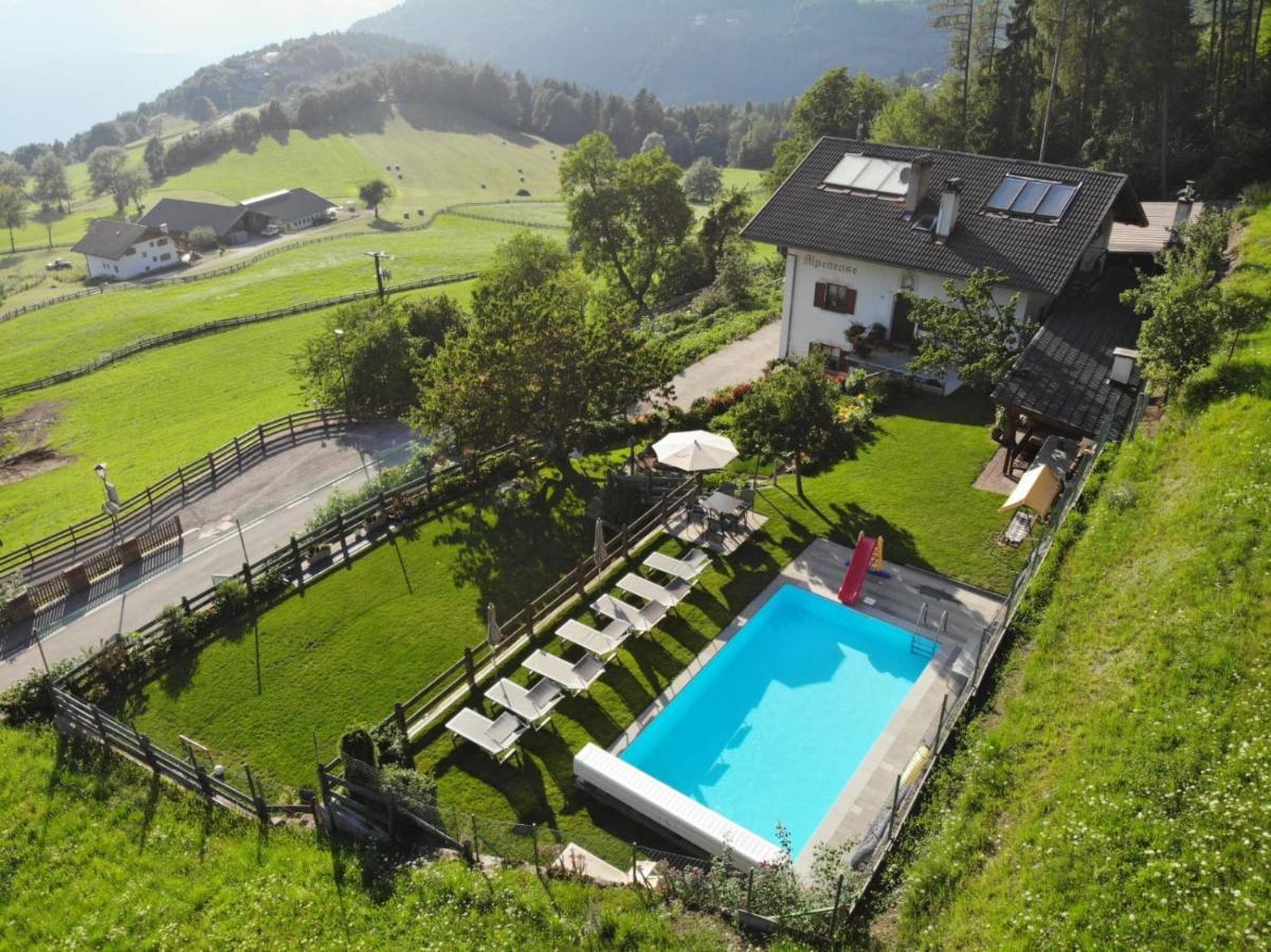 Alpenrose Apartment Meltina Bagian luar foto