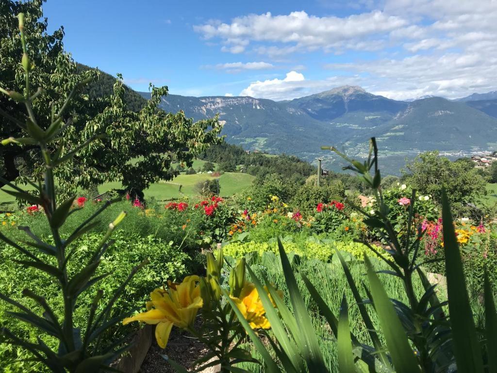 Alpenrose Apartment Meltina Bagian luar foto